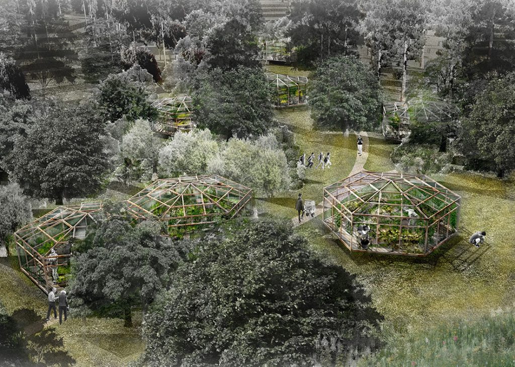 greenhouse 0208 50cm